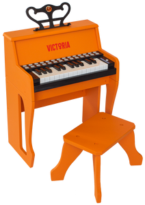 The "Victoria Records" Learn with Lights Piano for Kids